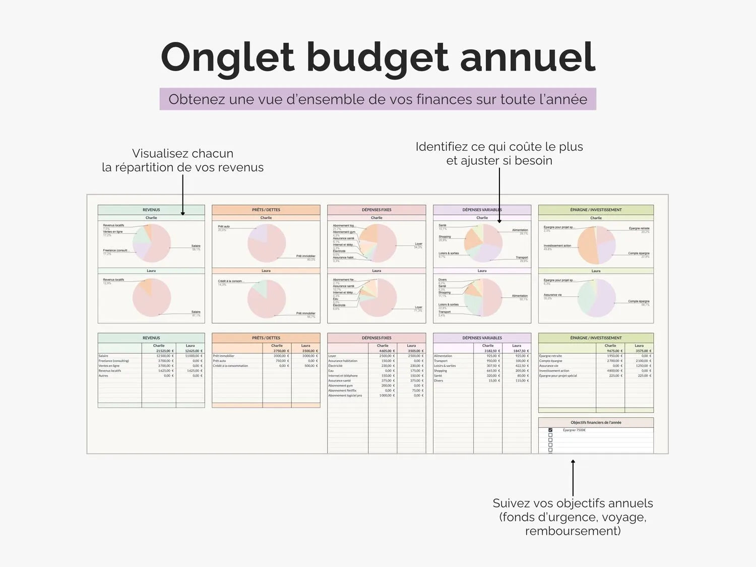 Onglet budget annuel : suivez vos objectifs annuels, identifiez ce qui coûte le plus et ajustez