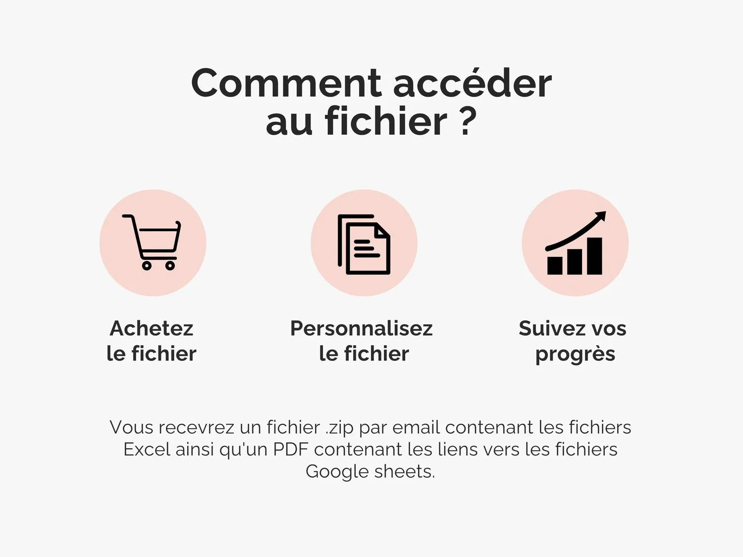 Comment accéder au fichier ?
Vous recevrez un fichier .zip par email contenant les fichiers Excel ainsi qu'un PDF contenant les liens vers les fichiers Google sheets.