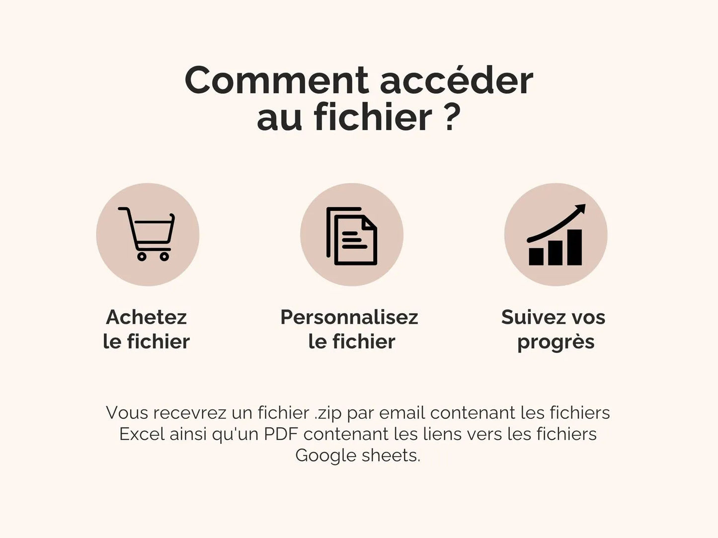 Comment accéder au fichier : vous recevrez un fichier .zip par email contenant les fichiers Excel ainsi qu'un PDF contenant les liens vers les fichiers Google sheets.