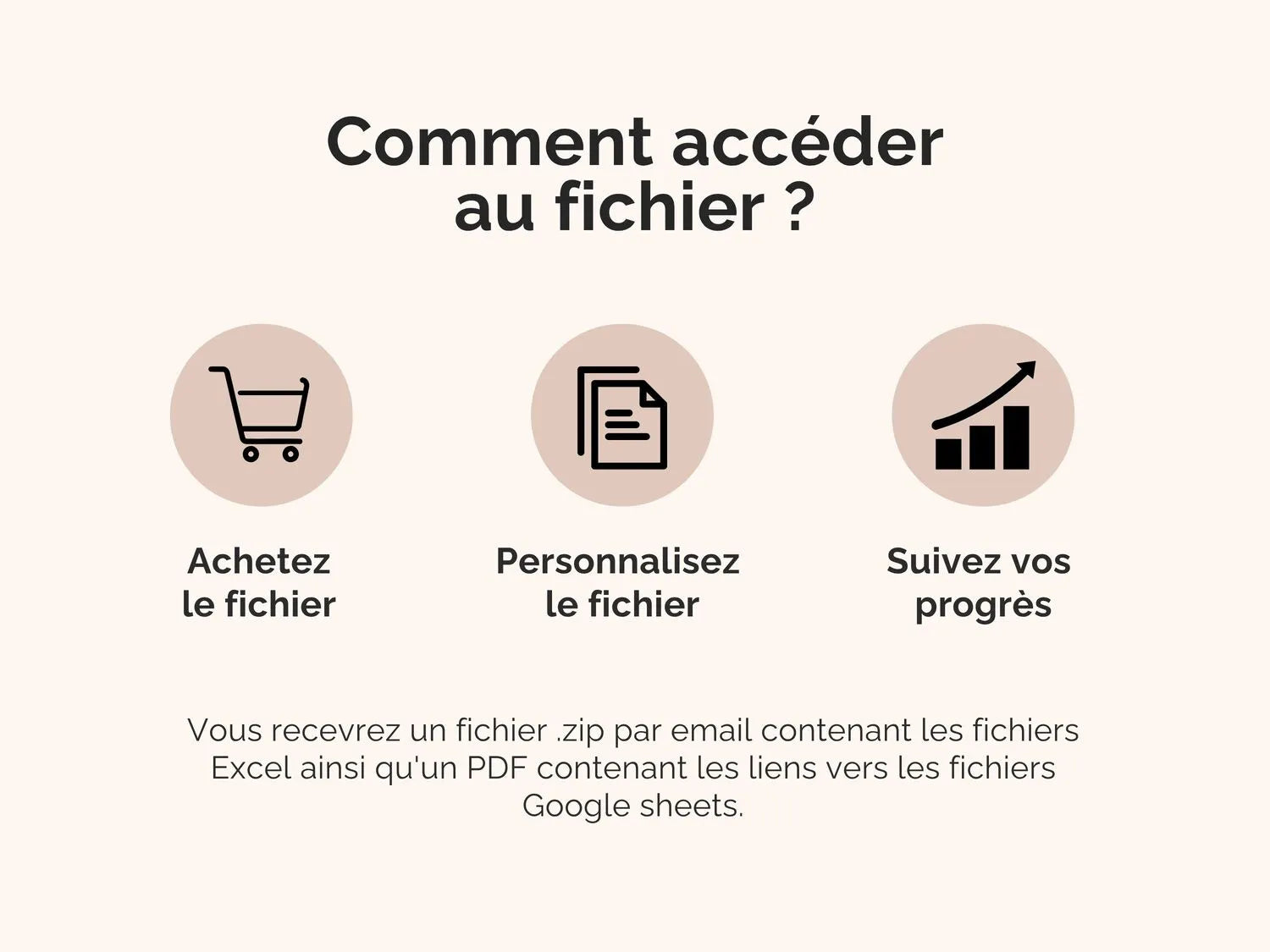 Comment accéder au fichier : vous recevrez un fichier .zip par email contenant les fichiers Excel ainsi qu'un PDF contenant les liens vers les fichiers Google sheets.