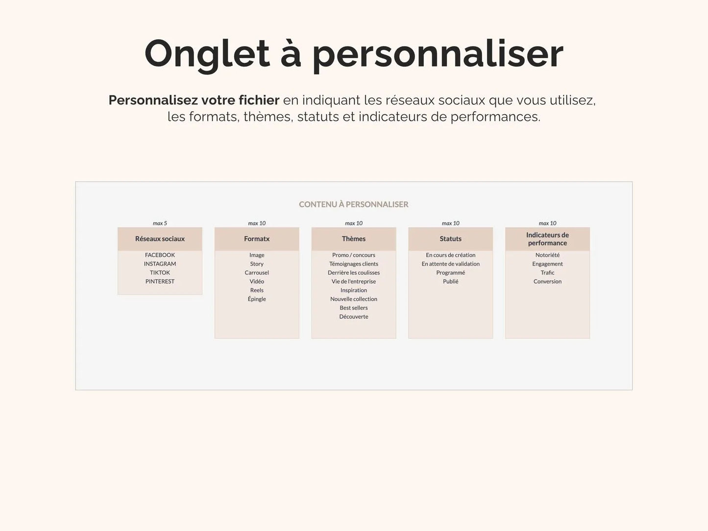 Personnalisez votre fichier en indiquant les réseaux sociaux que vous utilisez, 
les formats, thèmes, statuts et indicateurs de performances.
