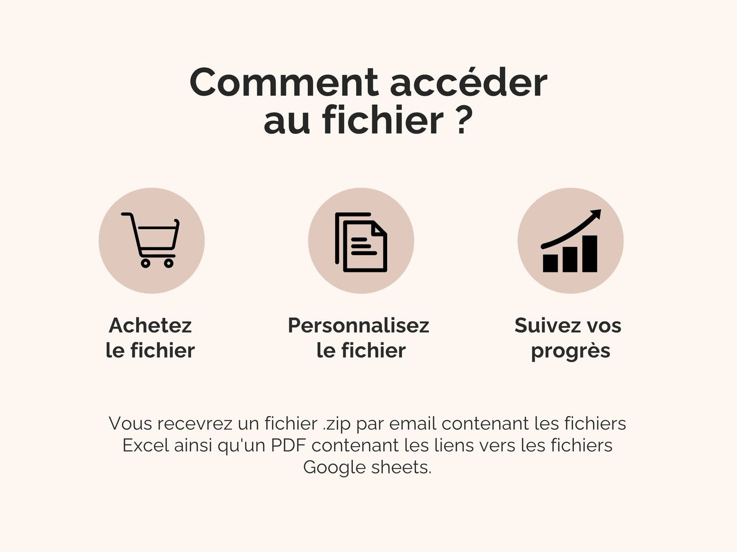 Comment accéder au fichier ?
Vous recevrez un fichier .zip par email contenant les fichiers Excel ainsi qu'un PDF contenant les liens vers les fichiers Google sheets.