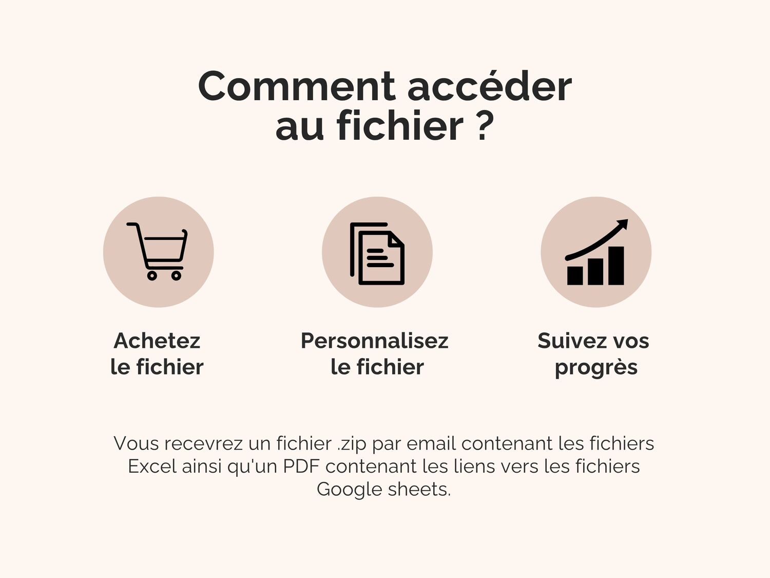 Comment accéder au fichier ?
Vous recevrez un fichier .zip par email contenant les fichiers Excel ainsi qu'un PDF contenant les liens vers les fichiers Google sheets.
