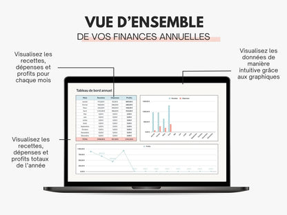 Analyse annuelle recettes et dépenses micro-entreprise Google sheets