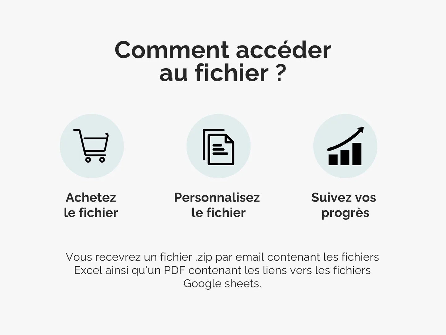 Comment accéder au fichier ?
Vous recevrez un fichier .zip par email contenant les fichiers Excel ainsi qu'un PDF contenant les liens vers les fichiers Google sheets.