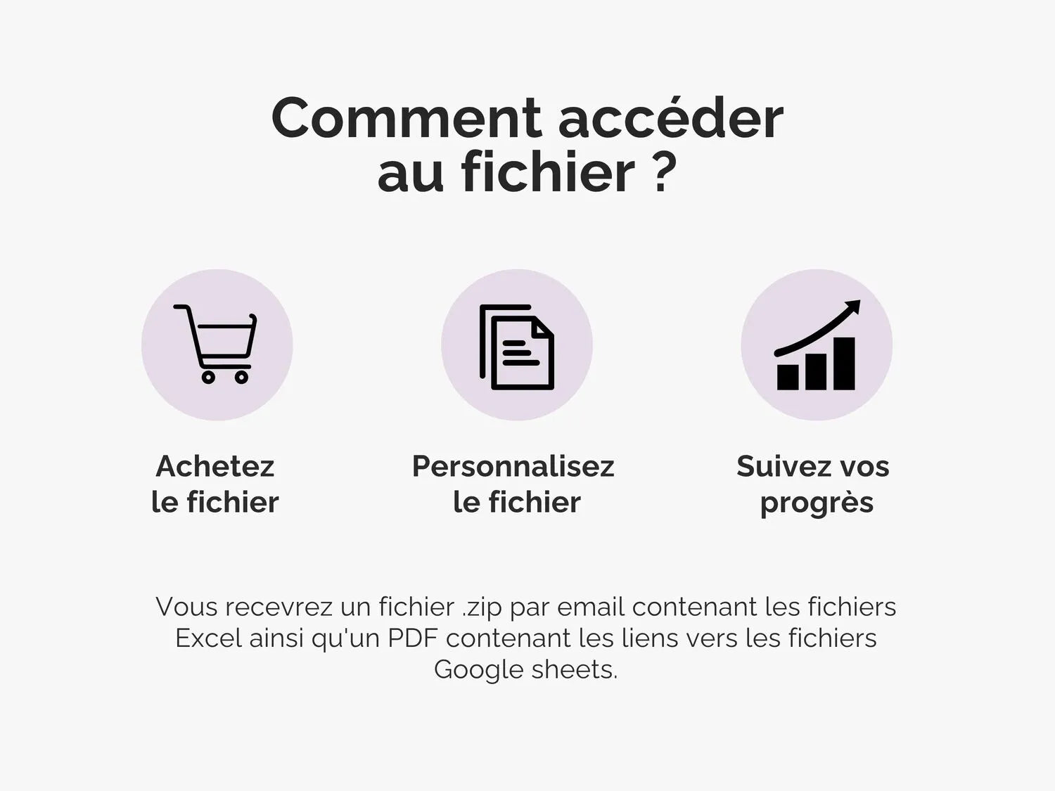 Comment accéder au fichier ?
Vous recevrez un fichier .zip par email contenant les fichiers Excel ainsi qu'un PDF contenant les liens vers les fichiers Google sheets.