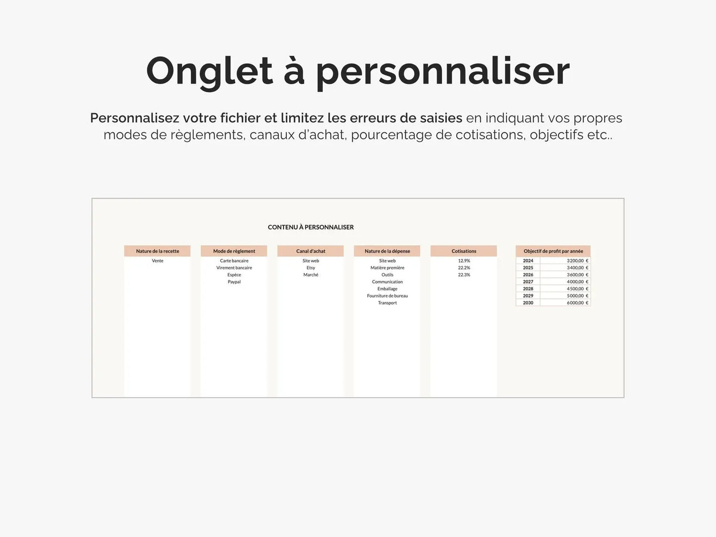 Onglet à personnaliser : indiquez vos propres indicateurs : mode de règlements, canaux d'achat, objectifs de profits etc.