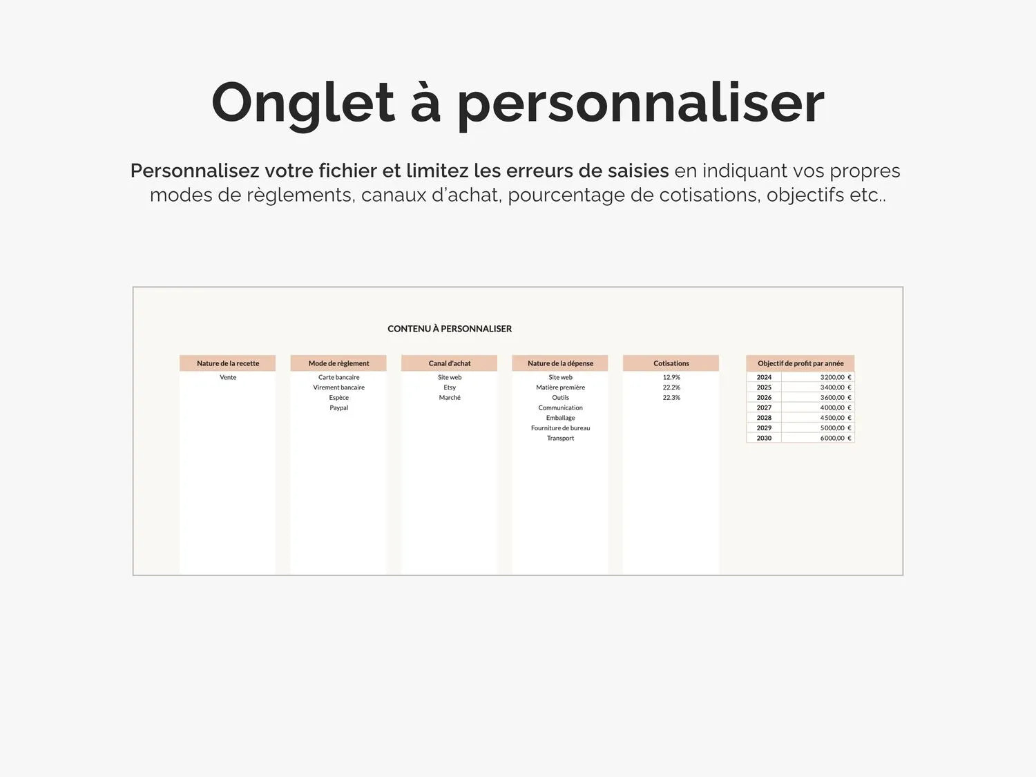 Onglet à personnaliser : indiquez vos propres indicateurs : mode de règlements, canaux d'achat, objectifs de profits etc.